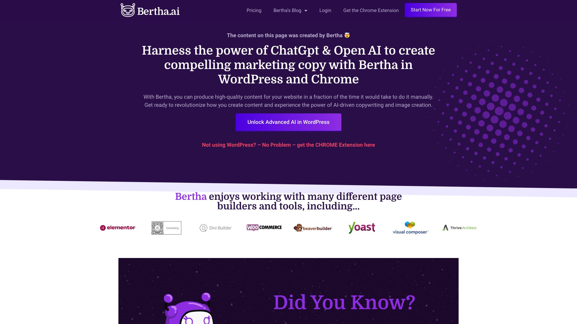 Bertha.ai