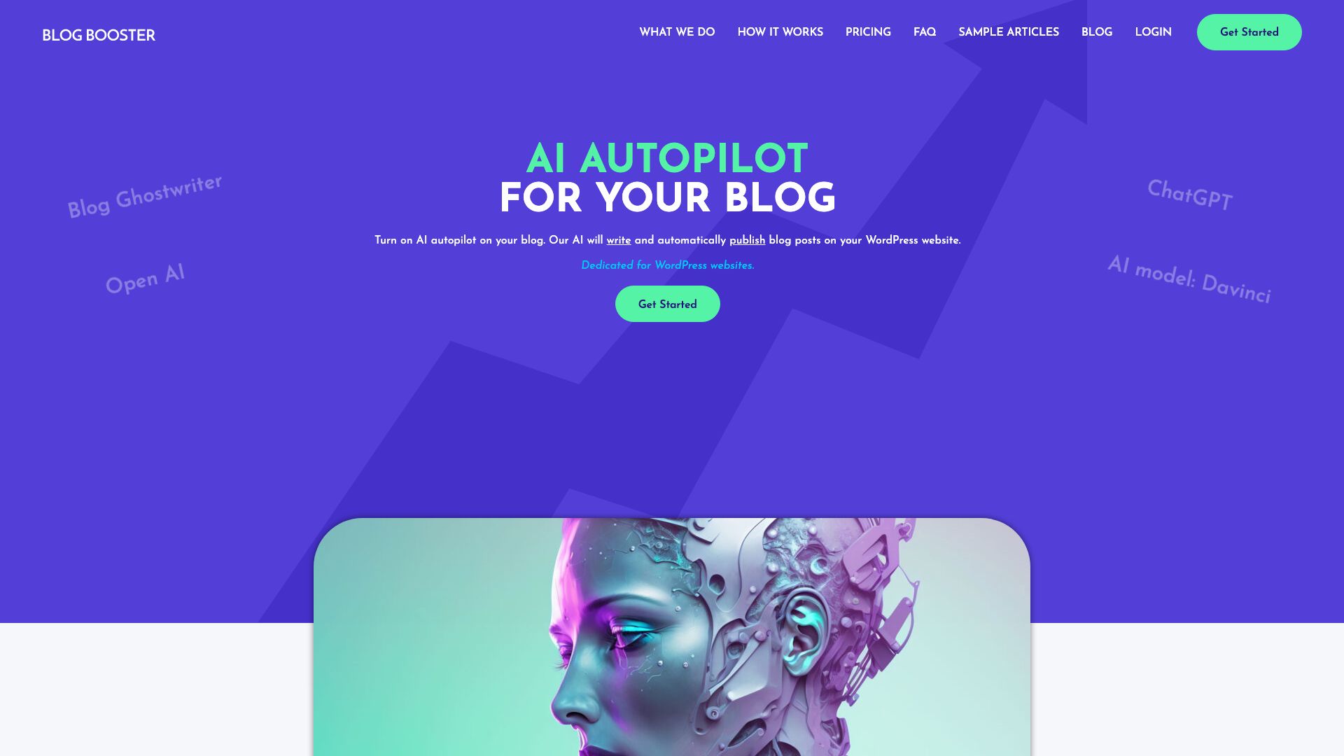 Blog Booster