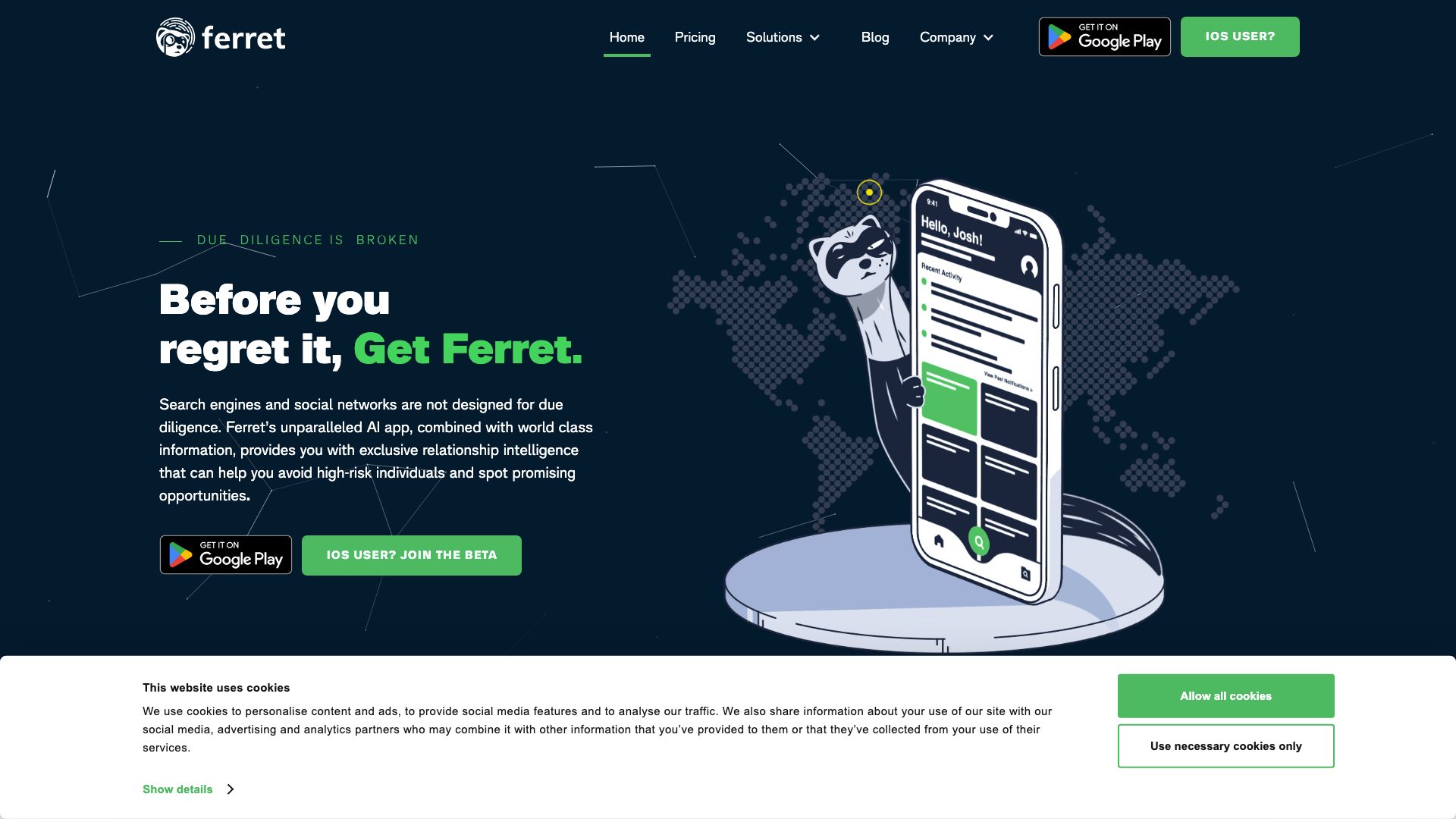 Ferret